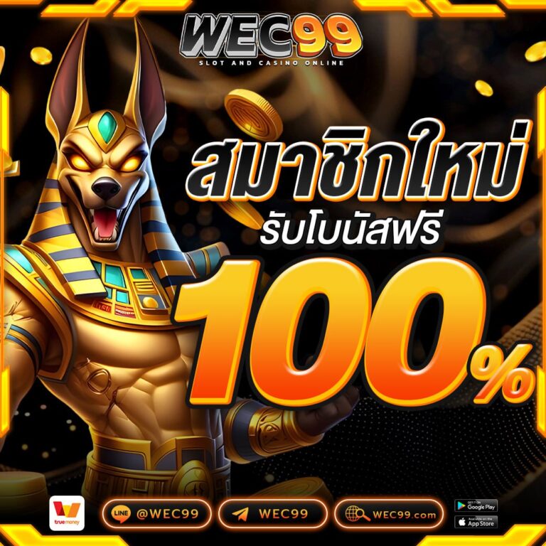 สมาชิกใหม่100%